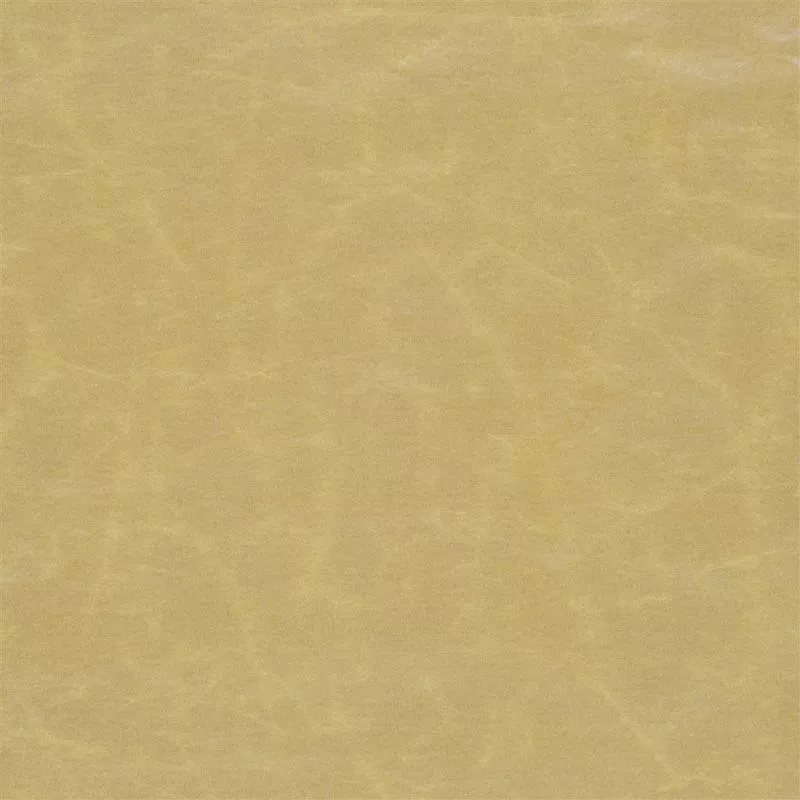 Stoff Arizona F1935/07 von Designers Guild