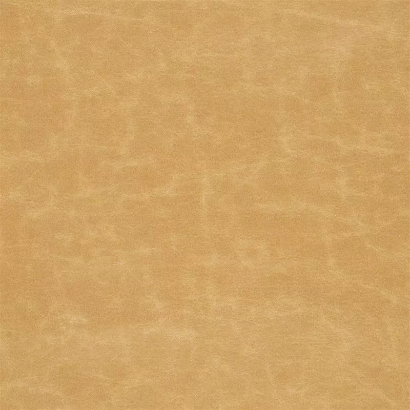 Stoff Arizona F1935/09 von Designers Guild