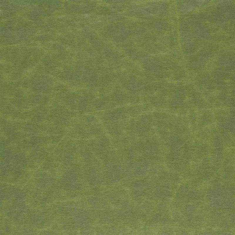 Stoff Arizona F1935/22 von Designers Guild