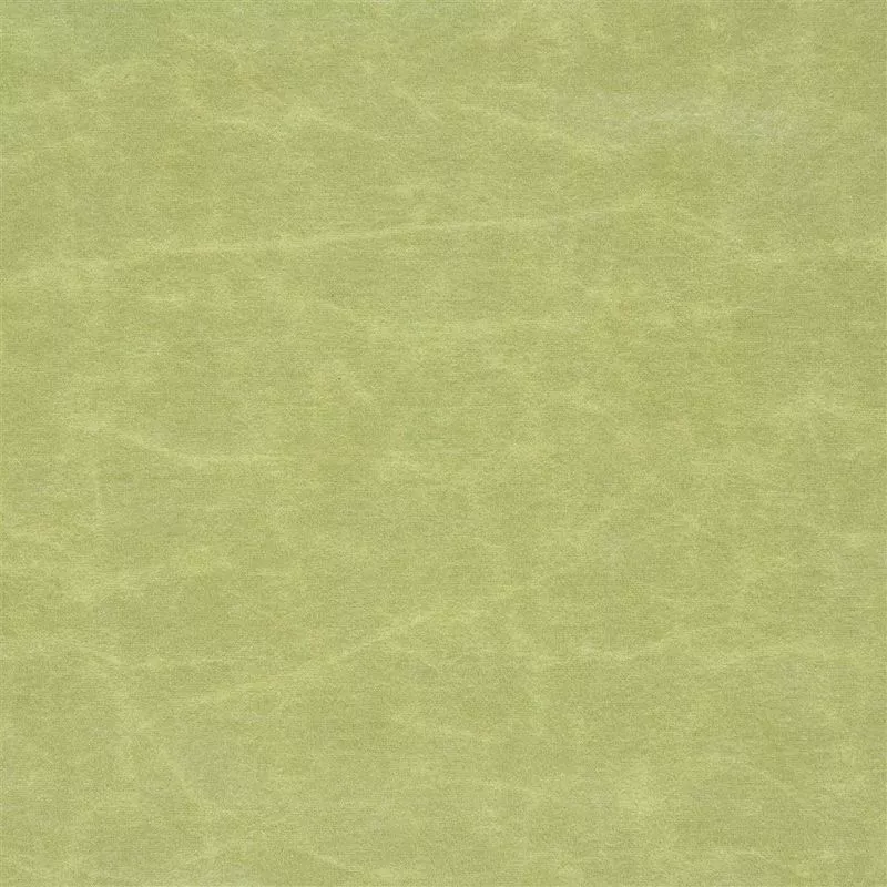 Stoff Arizona F1935/23 von Designers Guild