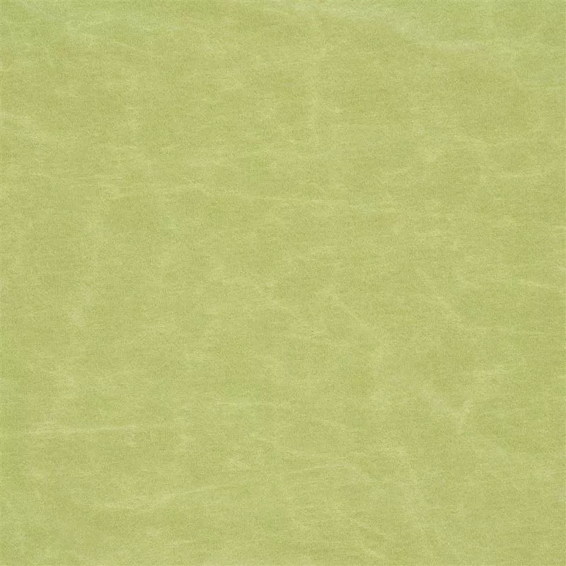 Stoff Arizona F1935/24 von Designers Guild
