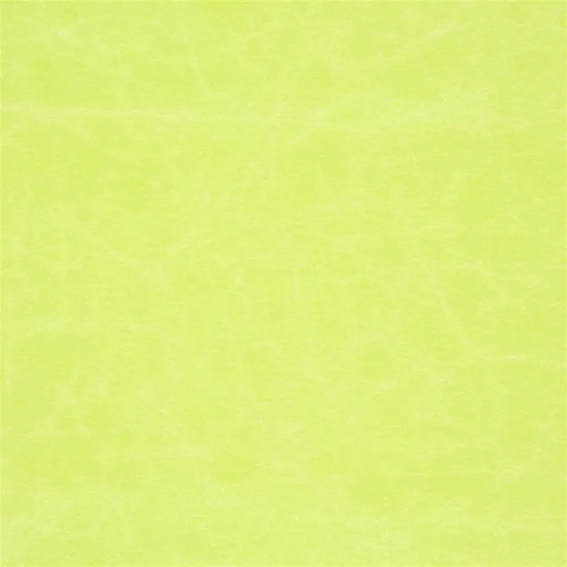 Stoff Arizona F1935/25 von Designers Guild
