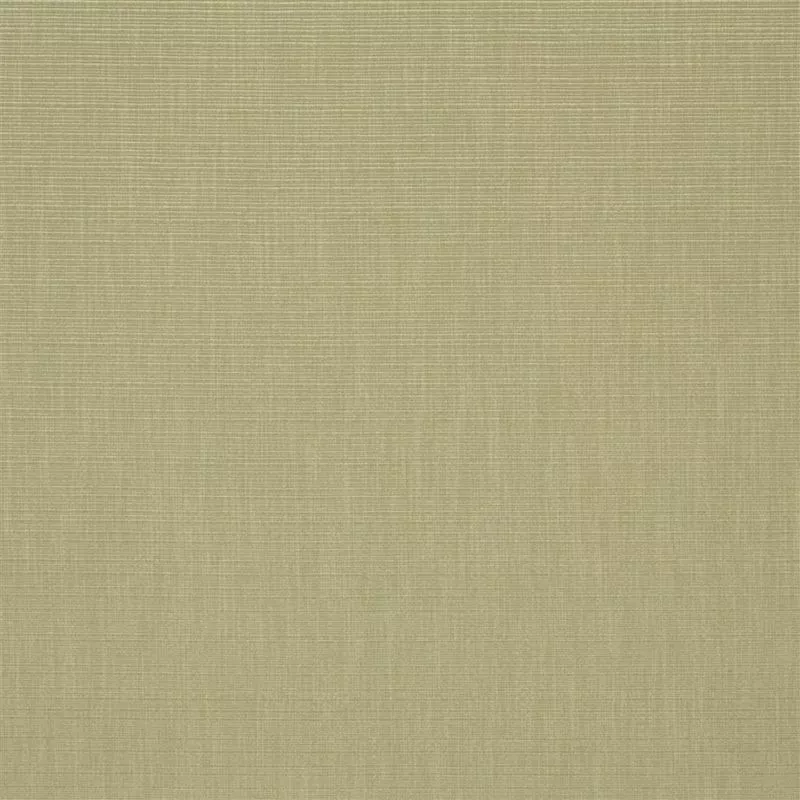 Stoff Barra F1990/01 von Designers Guild