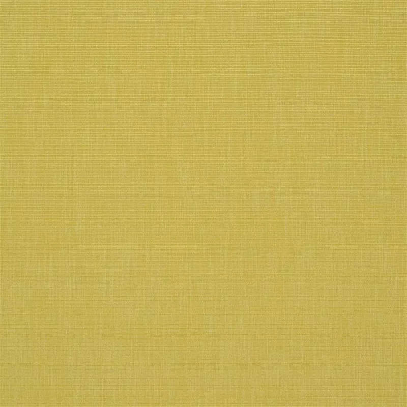 Stoff Barra F1990/03 von Designers Guild