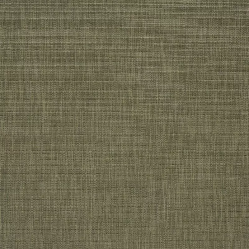 Stoff Barra F1990/04 von Designers Guild