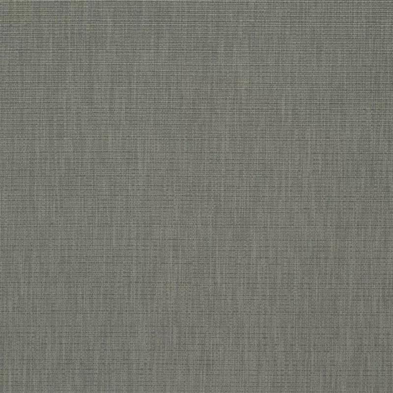 Stoff Barra F1990/05 von Designers Guild