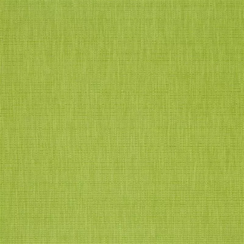 Stoff Barra F1990/14 von Designers Guild