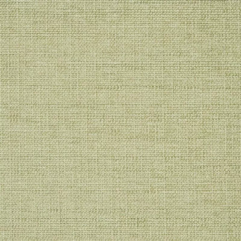 Stoff Auskerry F2021/08 von Designers Guild