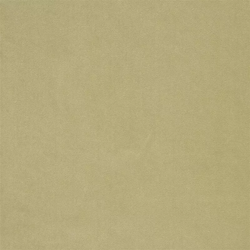 Stoff Cassia F2034/04 von Designers Guild