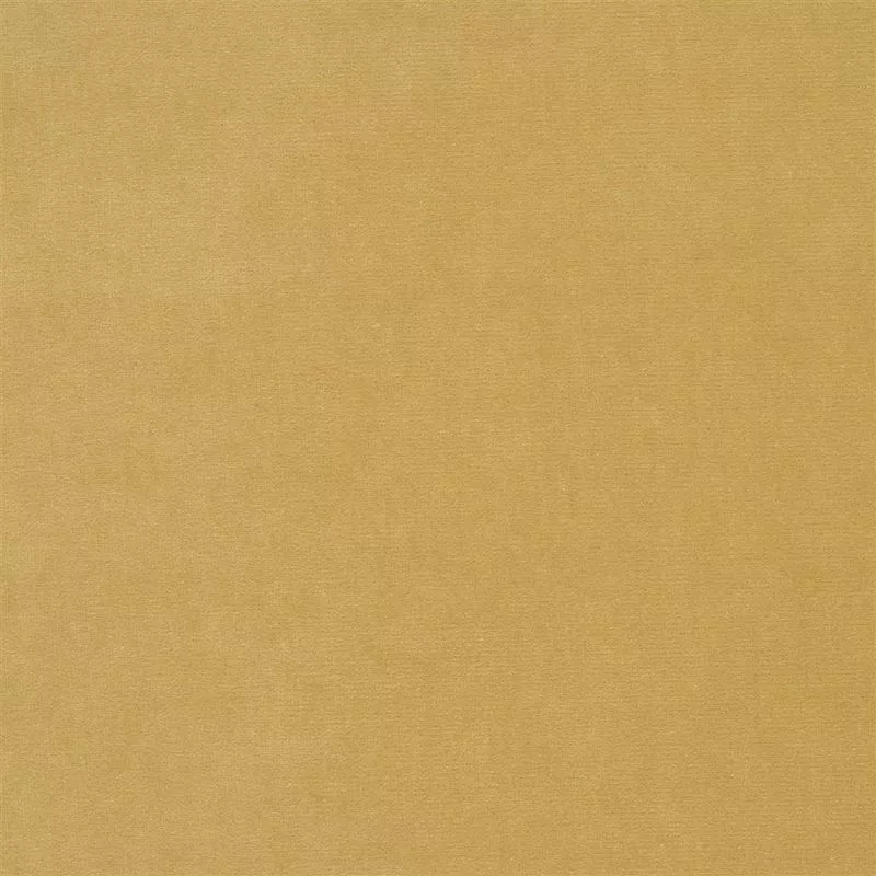 Stoff Cassia F2034/37 von Designers Guild