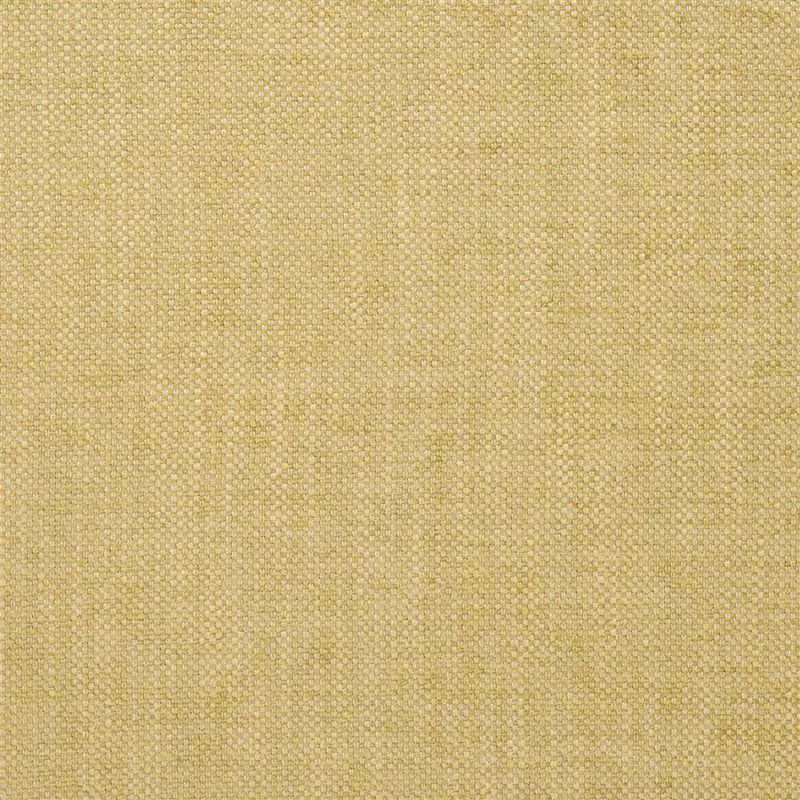 Stoff Elrick F2063/11 von Designers Guild