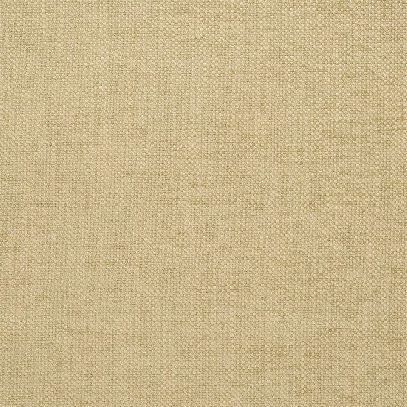 Stoff Elrick F2063/12 von Designers Guild