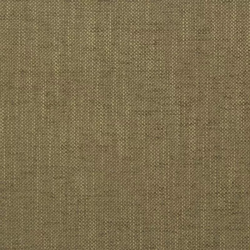 Stoff Elrick F2063/20 von Designers Guild