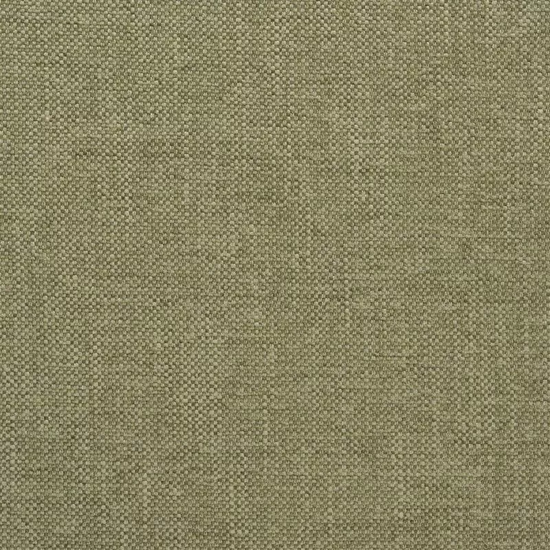 Stoff Elrick F2063/22 von Designers Guild