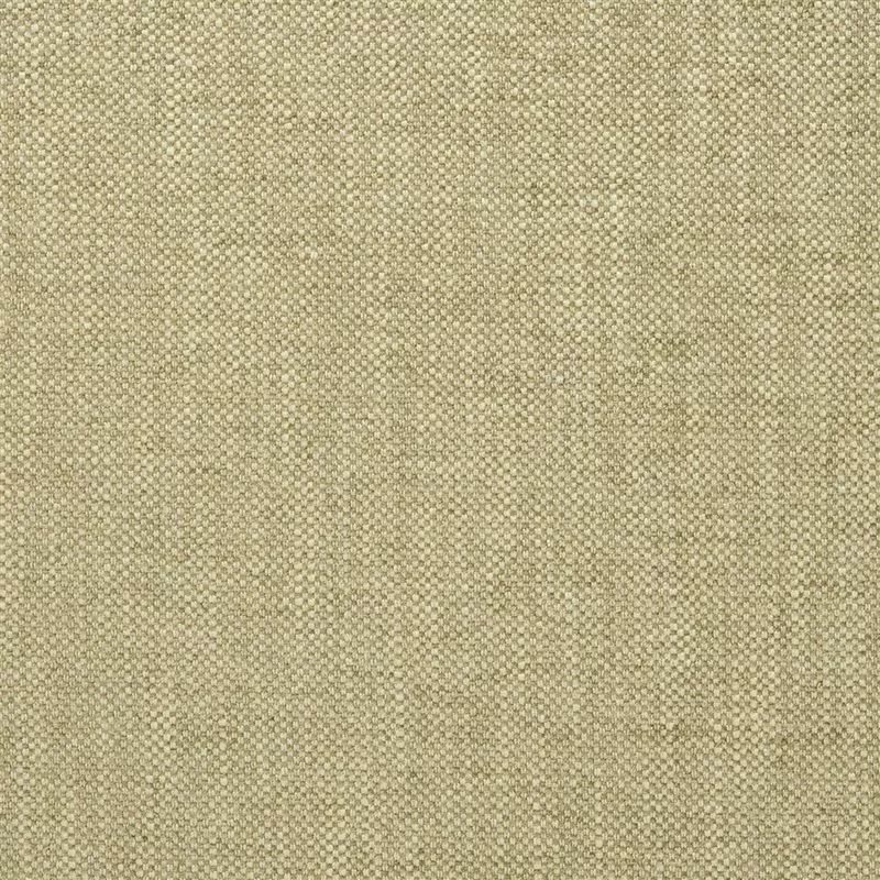 Stoff Elrick F2063/24 von Designers Guild