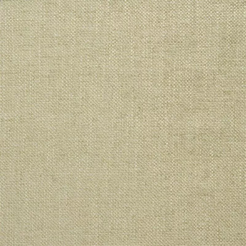 Stoff Elrick F2063/25 von Designers Guild
