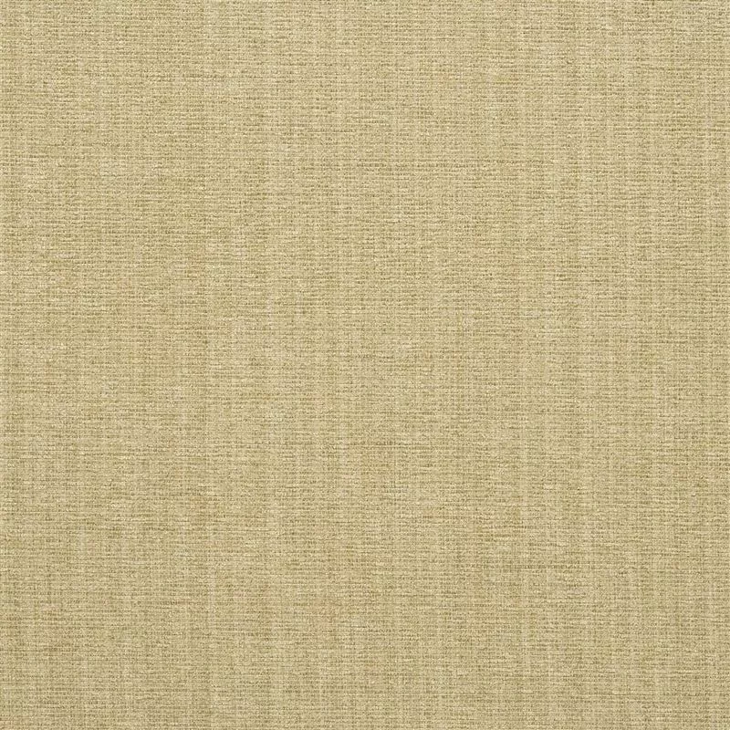 Stoff Lilburn F2066/05 von Designers Guild