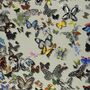 Designers Guild Butterfly Parade FCL025/02