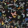 Designers Guild Butterfly Parade FCL025/