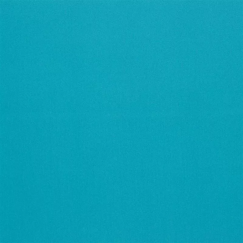 Stoff Beaux-Arts FCL054/03 von Designers Guild