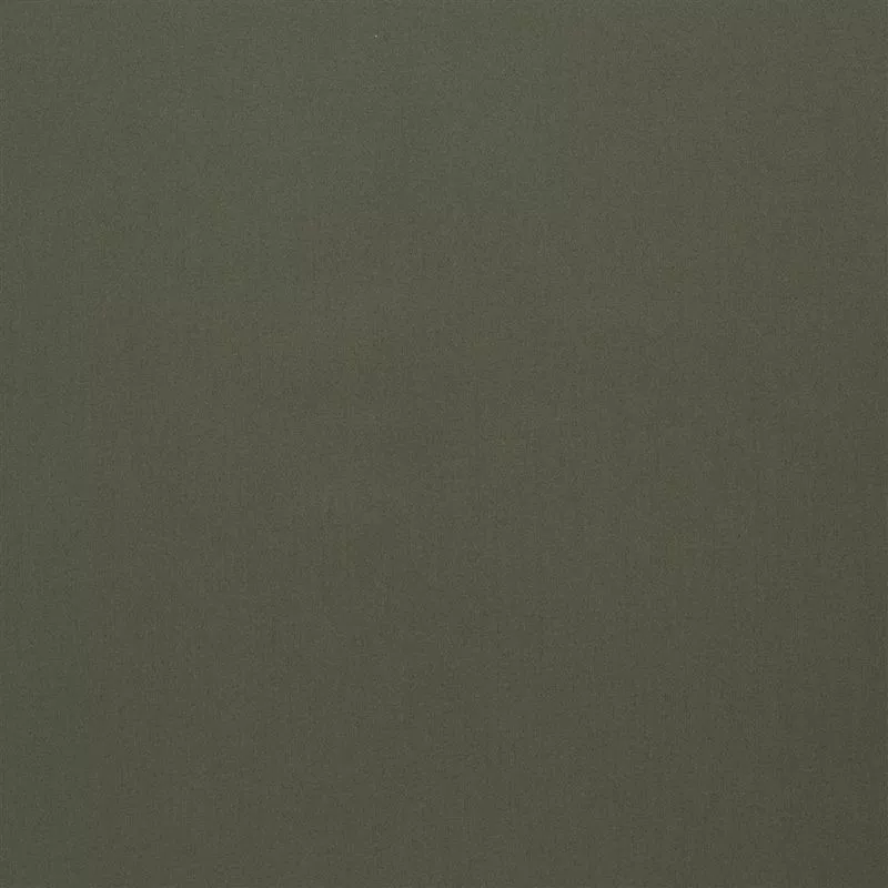 Stoff Beaux-Arts FCL054/09 von Designers Guild
