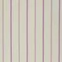 Designers Guild Brera Nastro FDG2263/10