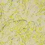 Designers Guild Plum Blossom FDG2293/01