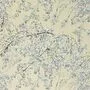 Designers Guild Plum Blossom FDG2293/04