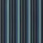 Designers Guild Webbing Stripe FDG2311/01