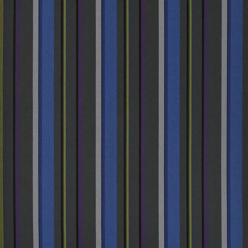 Stoff Webbing Stripe FDG2311/02 von Designers Guild