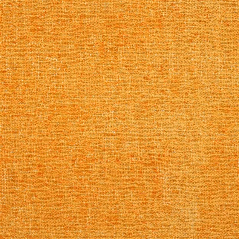 Stoff Riveau FDG2443/78 von Designers Guild