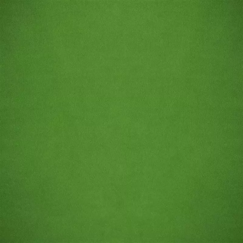 Stoff Velluto Stretto FDG2704/30 von Designers Guild