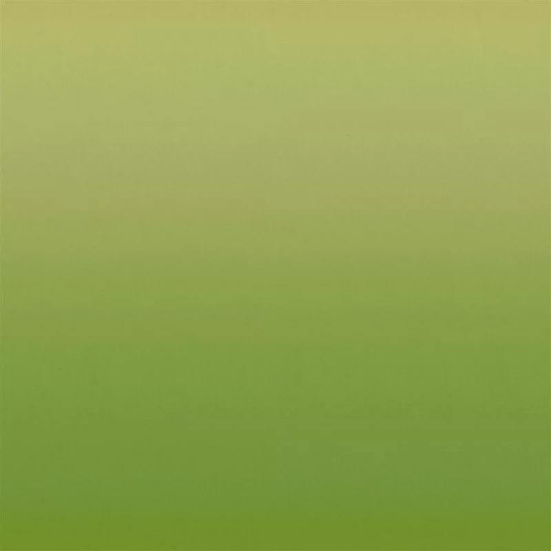 Stoff Bellavista Ombre FDG2866/06 von Designers Guild