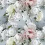 Designers Guild Peonia Grande FDG2911/01