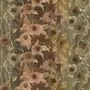 Designers Guild Jiyuka FDG2936/02