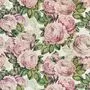 Designers Guild The Rose FJD6006/02