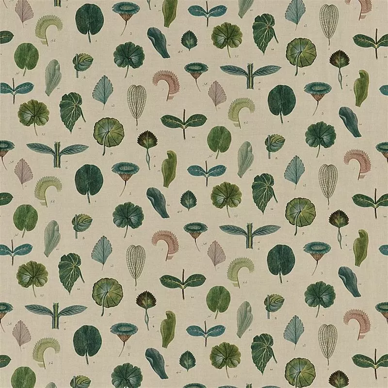 Stoff A Leaf Study FJD6017/01 von Designers Guild