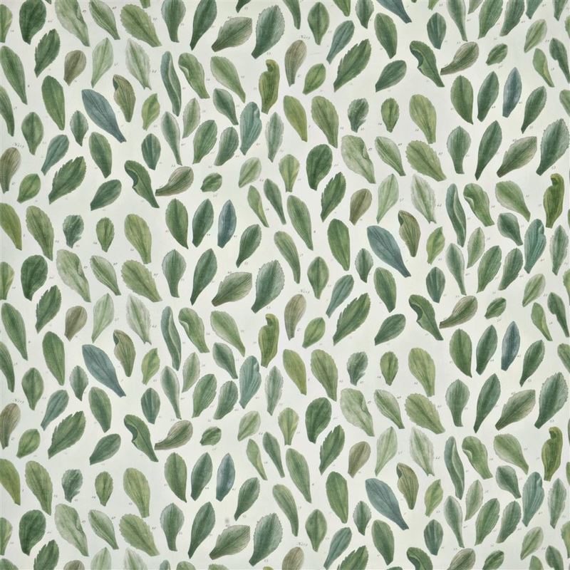 Stoff Leaf Specimens FJD6018/01 von Designers Guild