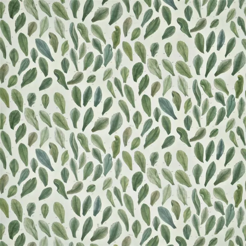 Stoff Leaf Specimens FJD6018/01 von Designers Guild