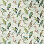 Designers Guild Parrot Aviary FJD6021/01