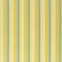 Ralph Lauren Greenport Stripe FRL080/02
