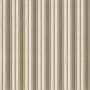 Ralph Lauren Auvergne Stripe FRL2508/02