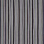 Ralph Lauren Colombier Stripe FRL5049/01