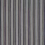 Ralph Lauren Colombier Stripe FRL5049/01