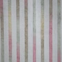 Indes Skani 4641-