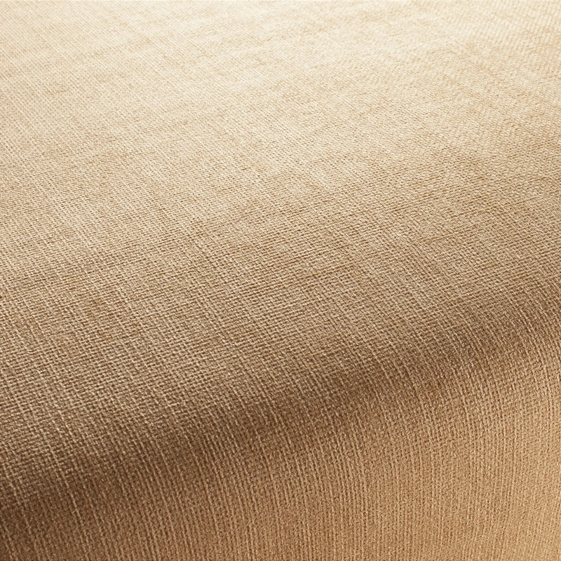 Stoff Toro Vol. 3 1-1243-041 von JAB Anstoetz