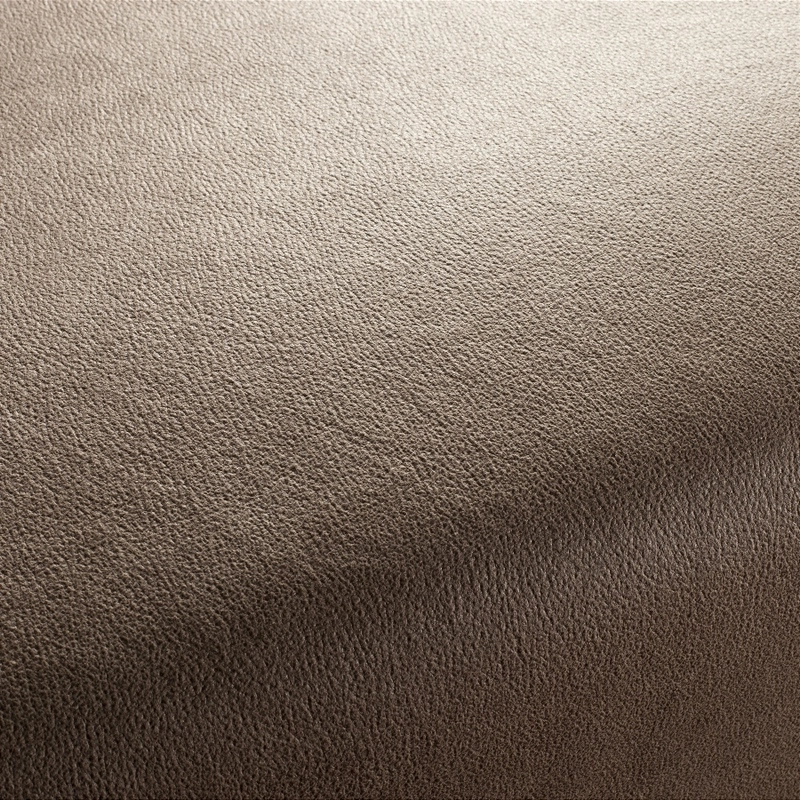 Stoff Boxter CA1038/020 von Chivasso