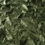 Chivasso Ultracrush CA1608/