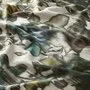 Chivasso Wild River CA1666/030