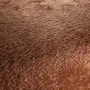 Chivasso Soft Dune CA1875/